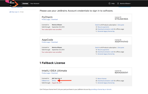 jetbrains products local license server